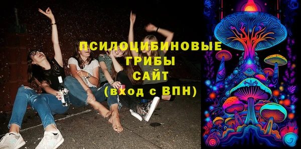 эйфоретик Арсеньев