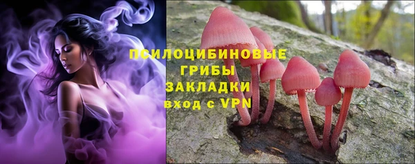 эйфоретик Арсеньев