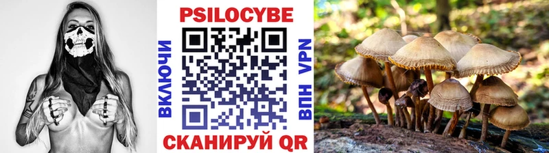 гидра зеркало Зеленодольск Галлюциногенные грибы MAGIC MUSHROOMS